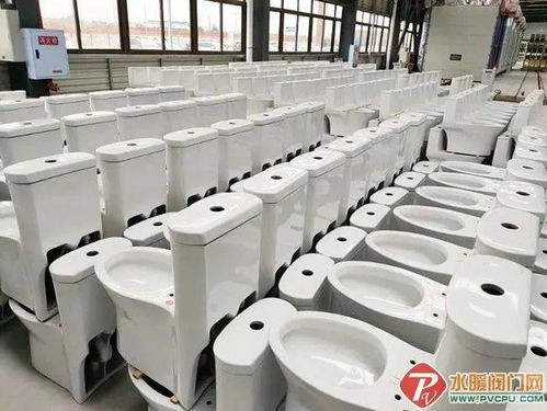 永川帝王潔具 “帝王速度”打造全國最大智能馬桶工廠，推動(dòng)配件產(chǎn)業(yè)升級(jí)