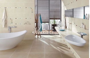 常用衛浴潔具性能及特點分析及安裝服務